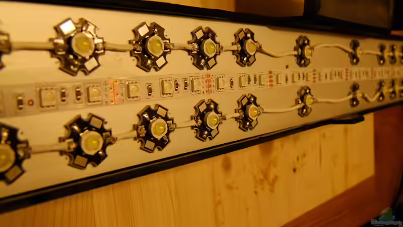 Technik im Aquarium Dunkles Amazonasdikicht von ManiacXL (41)