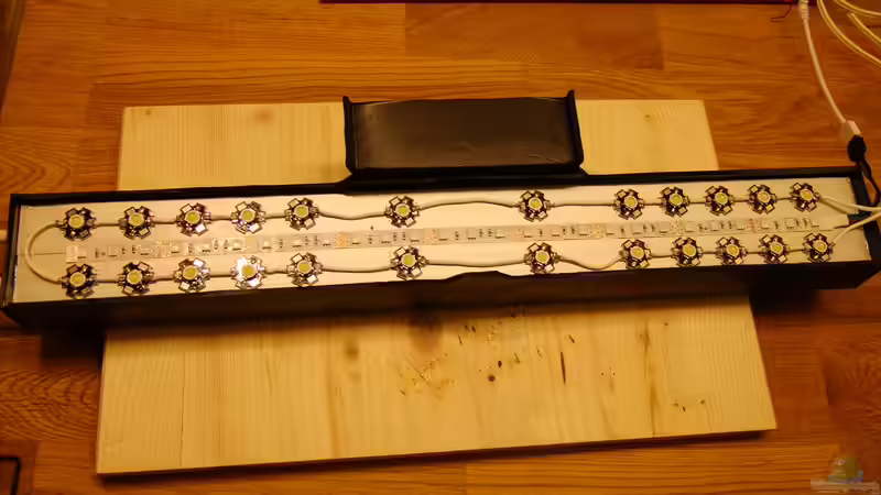 Technik im Aquarium Dunkles Amazonasdikicht von ManiacXL (42)