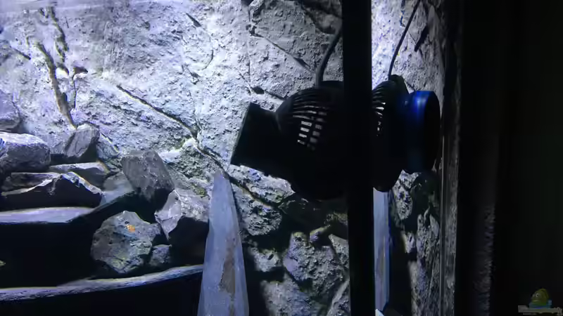 Technik im Aquarium Dunkles Malawi von Saikon (7)