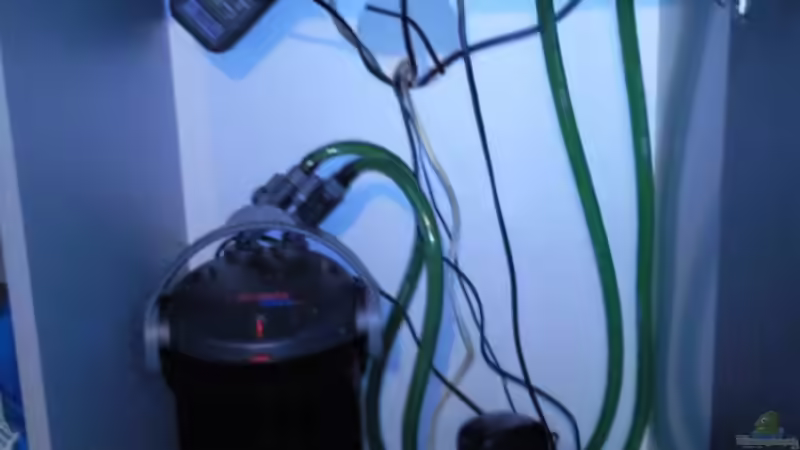 Technik im Aquarium Eheim Silverline von Martin Becker (7)