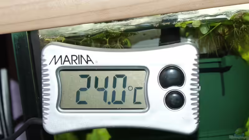 Technik im Aquarium Eheim Vivaline 126 von Aniram (4)