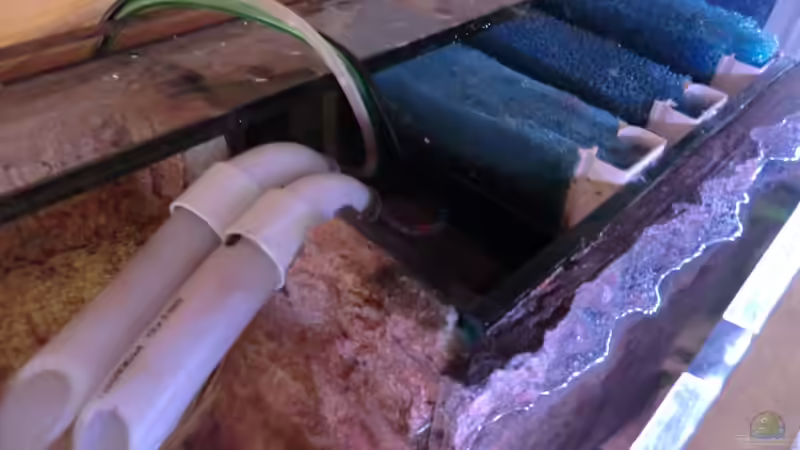 Technik im Aquarium Ein kleines Stück Tanganjikasee von Jannik Sommer (10)