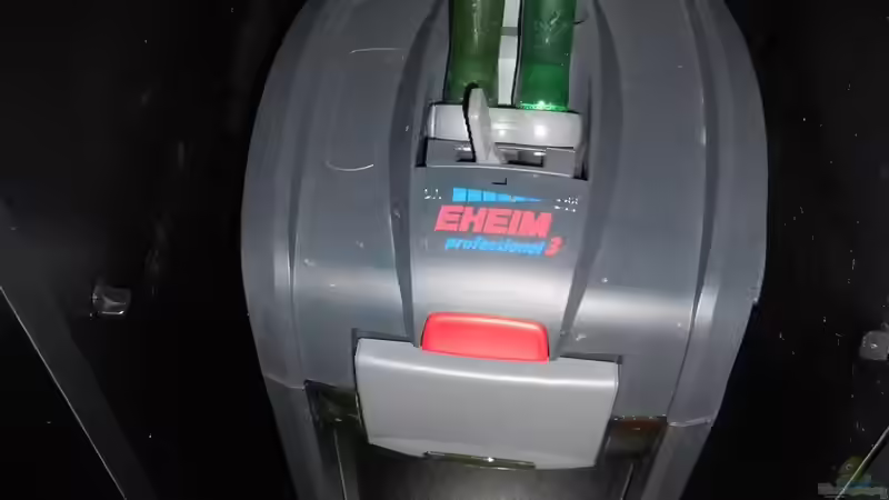 Technik im Aquarium Ein schönes miteinander von FIsch89 (20)