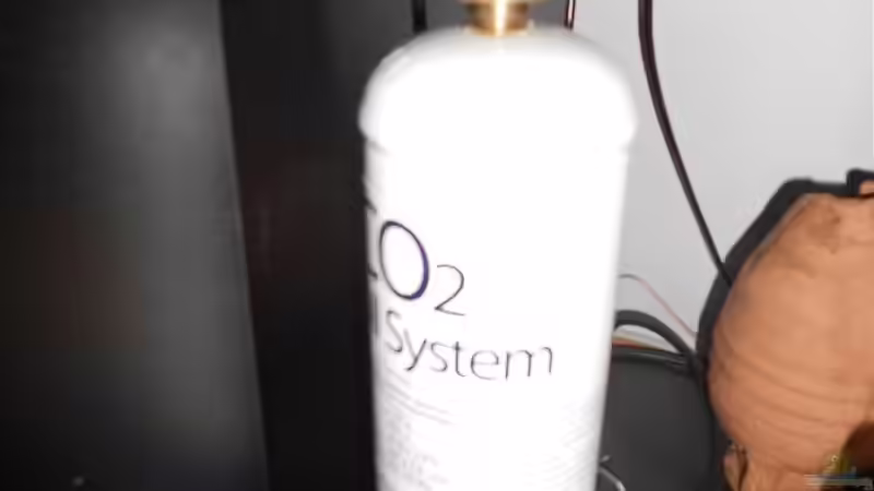 Technik im Aquarium Ein schönes miteinander von FIsch89 (21)