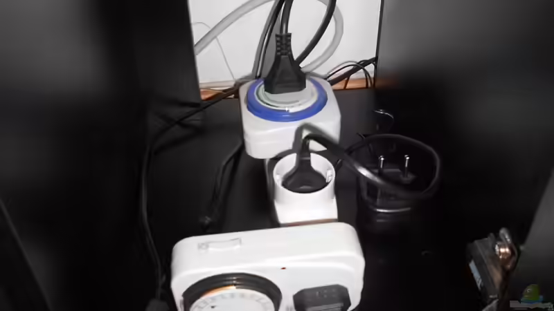 Technik im Aquarium Ein schönes miteinander von FIsch89 (22)