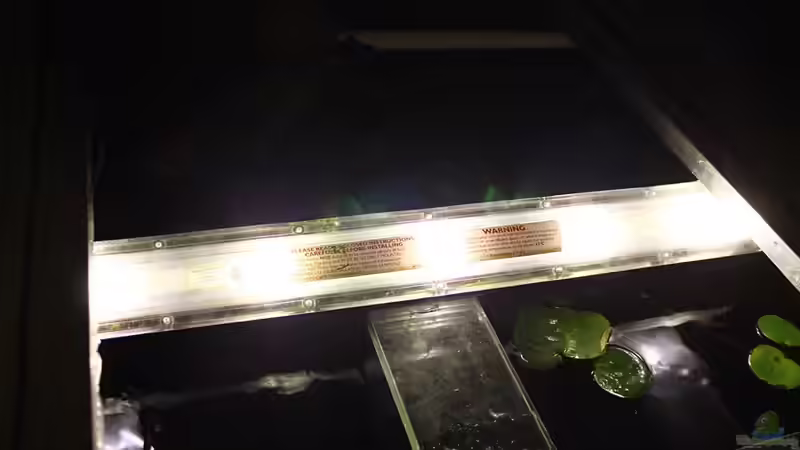 Technik im Aquarium Ein Stück Südamerika von marxbre (53)