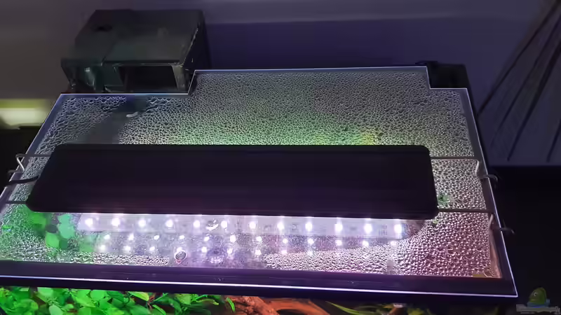 Technik im Aquarium Endlerzuchtparadies von Malawi-Guard (3)