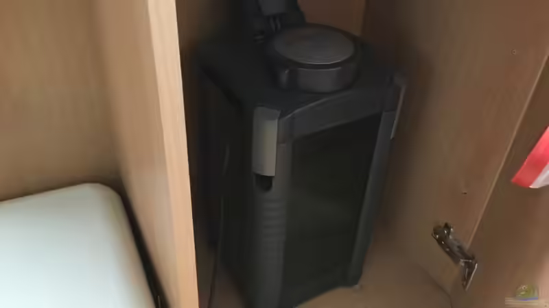 Technik im Aquarium Entlich was halbwegs schönes von mina (6)