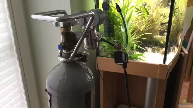 Technik im Aquarium Entlich was halbwegs schönes von mina (7)