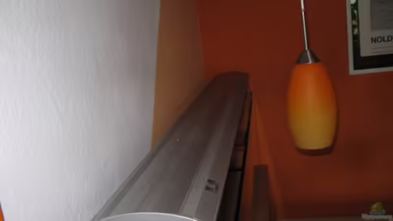 Technik im Aquarium Esstischbecken von Andrea (29)