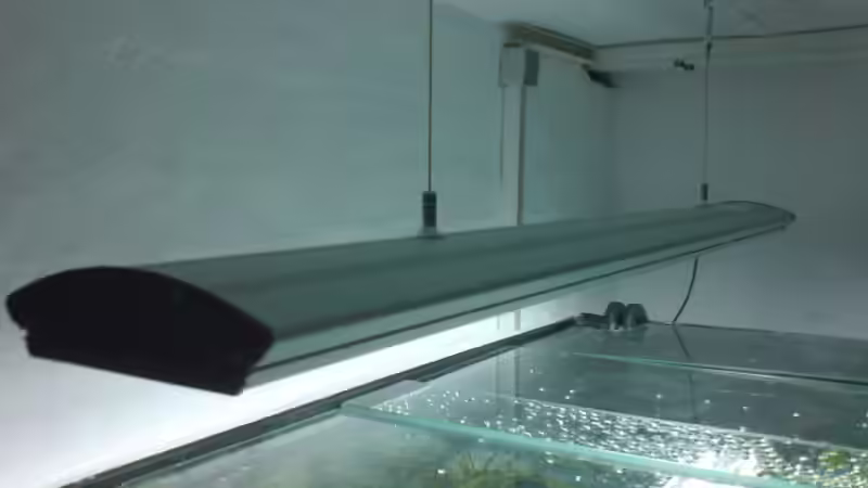 Technik im Aquarium Fadenmaulbrüter-Tank von Andi*Sehlde (34)