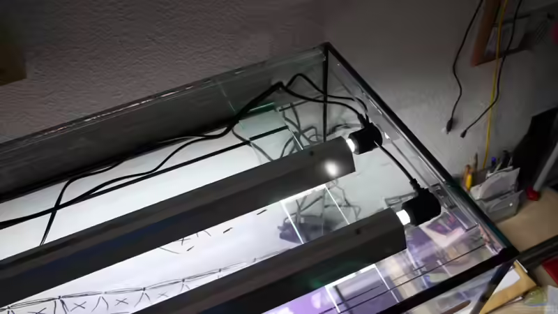 Technik im Aquarium Farbenfrohes Steilufer von @mazonas (51)