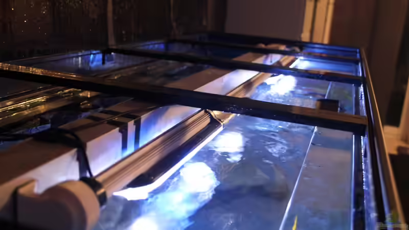 Technik im Aquarium Faszination Malawi von chR576 (17)