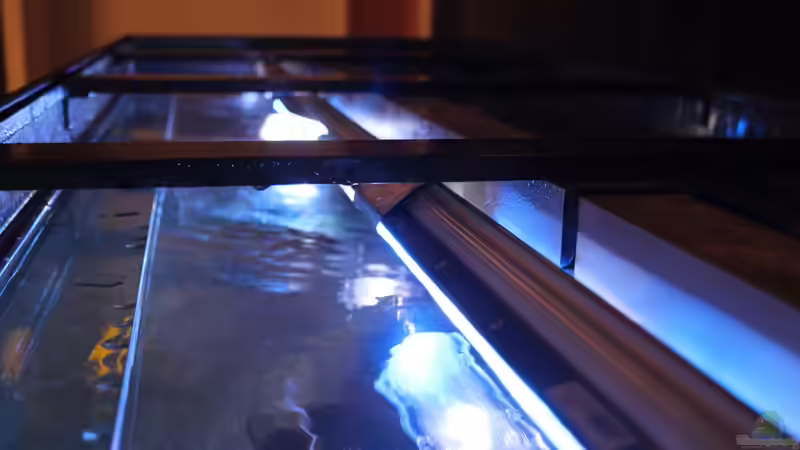 Technik im Aquarium Faszination Malawi von chR576 (18)