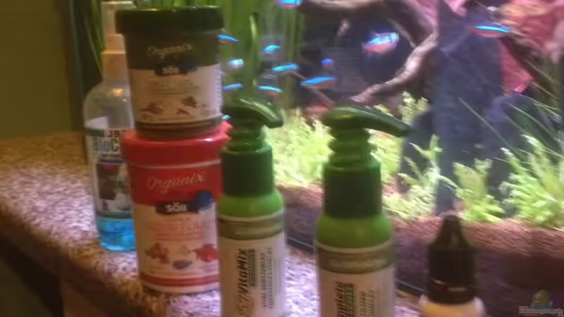 Technik im Aquarium Feierabend Becken von Theo Heimann (11)