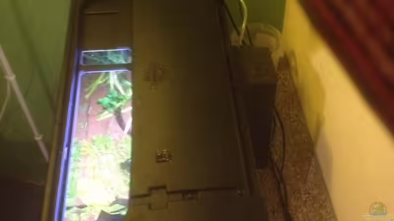 Technik im Aquarium Feierabend Becken von Theo Heimann (8)