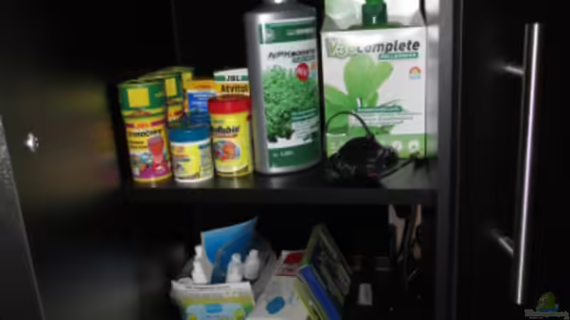 Technik im Aquarium Fischsuppe mal anders Trigon190 Eckbecken von Phantom (16)