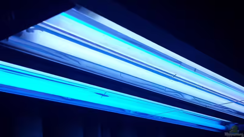 Technik im Aquarium Flev´s 1,1K MeWa Tank von Flevus (7)