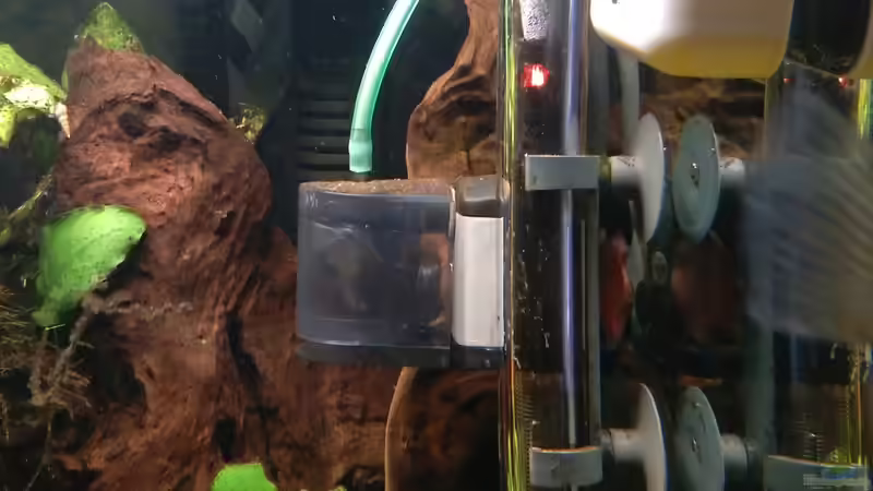 Technik im Aquarium Fluss Ufer (Nur noch als Beispiel) von Kai Heermann (12)