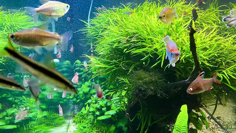 Technik im Aquarium Fluval Profile 1500 Kundenaquarium von Fredo Fuss (6)