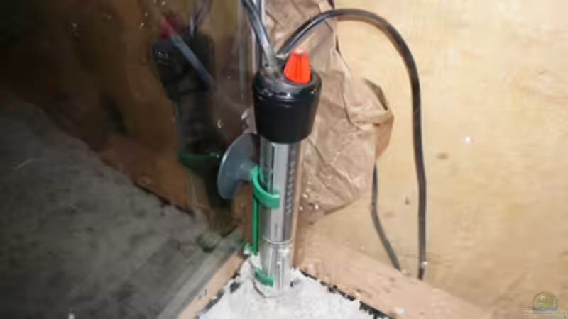 Technik im Aquarium Fotokasten von Cichlid Power (19)