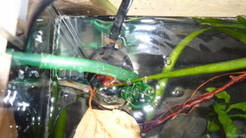 Technik im Aquarium Fotokasten von Cichlid Power (20)