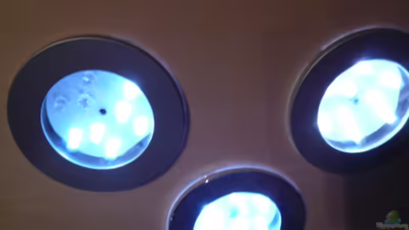 Technik im Aquarium Fotokasten von Cichlid Power (21)