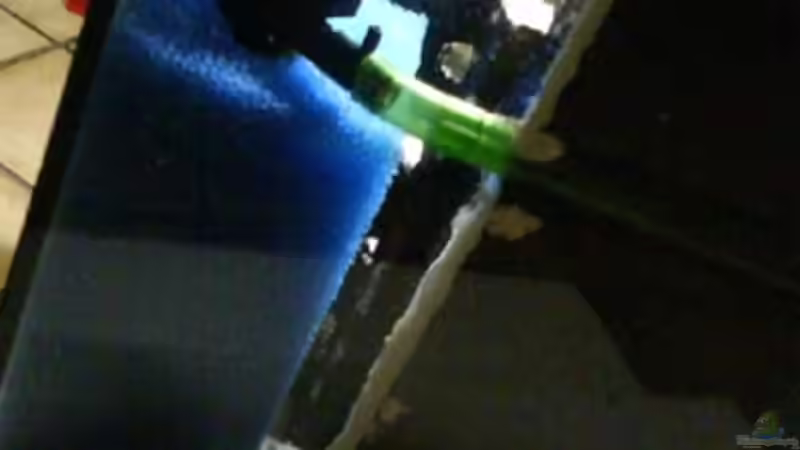 Technik im Aquarium Frogtopia von Lisa. (10)