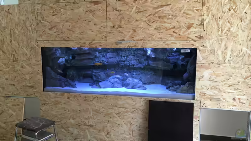 Technik im Aquarium Frontosa von Christian V (11)