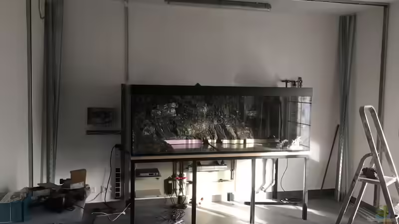 Technik im Aquarium Frontosa von Christian V (7)