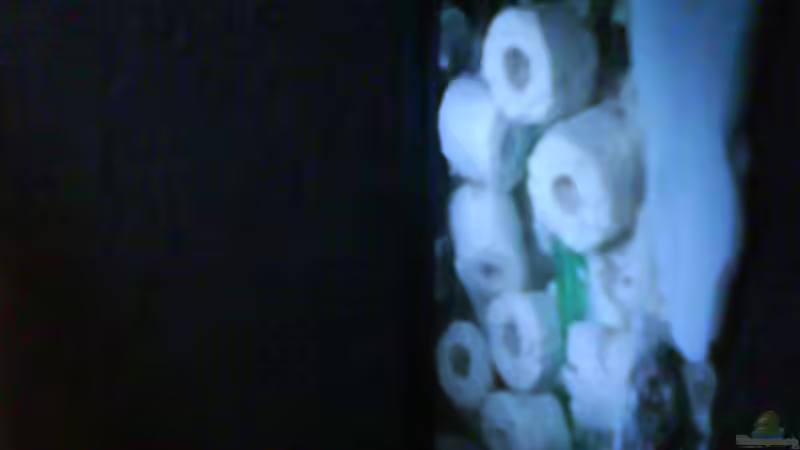 Technik im Aquarium Froschgrotte von LaEy (10)