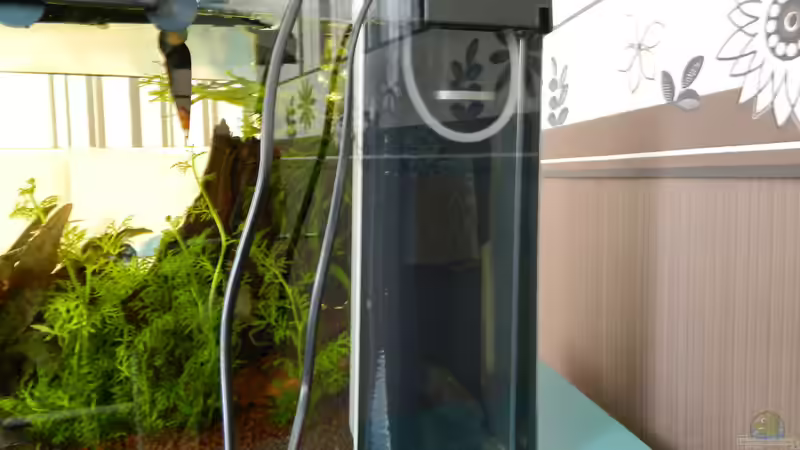 Technik im Aquarium Froschparadies (nur noch Beispiel) von Nick3 (12)