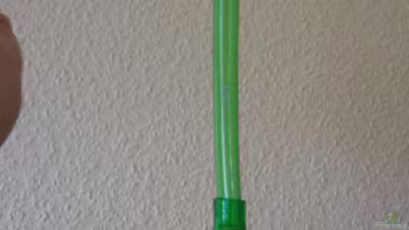 Technik im Aquarium Futterbecken von Christina Studt (12)