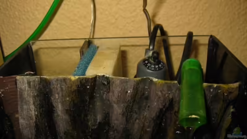 Technik im Aquarium Futterbecken von Christina Studt (8)