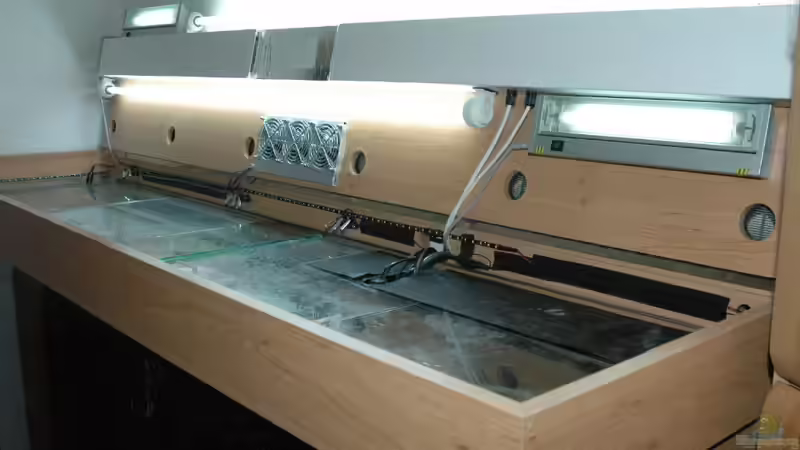 Technik im Aquarium Ganzer Stolz von Stefan Hoffmann (6)