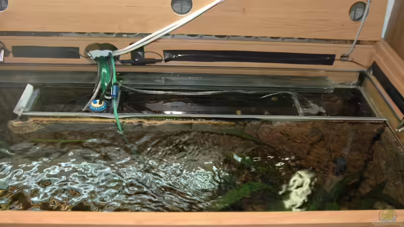 Technik im Aquarium Ganzer Stolz von Stefan Hoffmann (7)