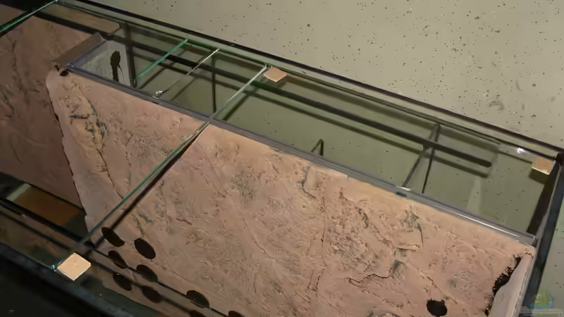 Technik im Aquarium Ganzer Stolz von Stefan Hoffmann (8)