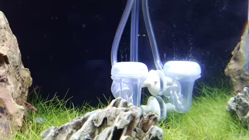 Technik im Aquarium Garnelen - Iwagumi von Torsten Bullmahn (13)