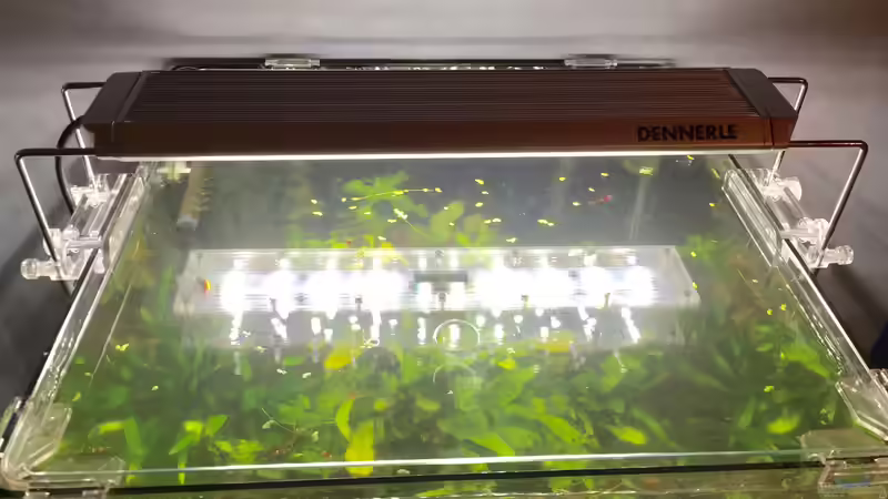 Technik im Aquarium Garnelen Cube von DL (27)