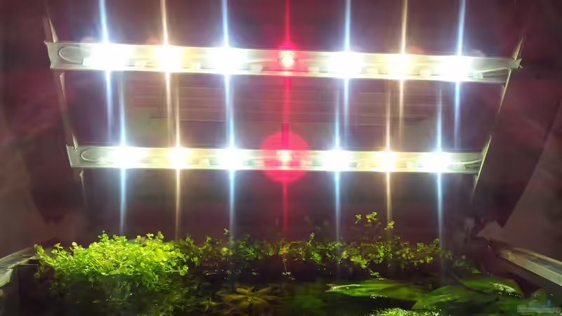 Technik im Aquarium Garnelen von Liquid (20)