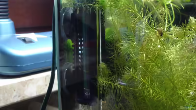 Technik im Aquarium Garnelenbecken von Timo10 (10)