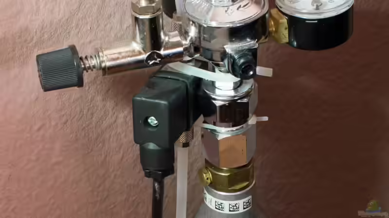 Technik im Aquarium Garnelenbox von Fabian M (2)