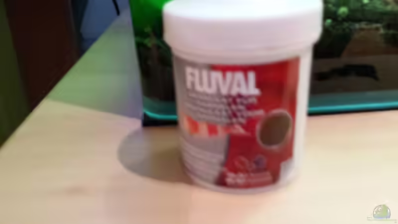 Technik im Aquarium Garni Becken von Aqua (4)