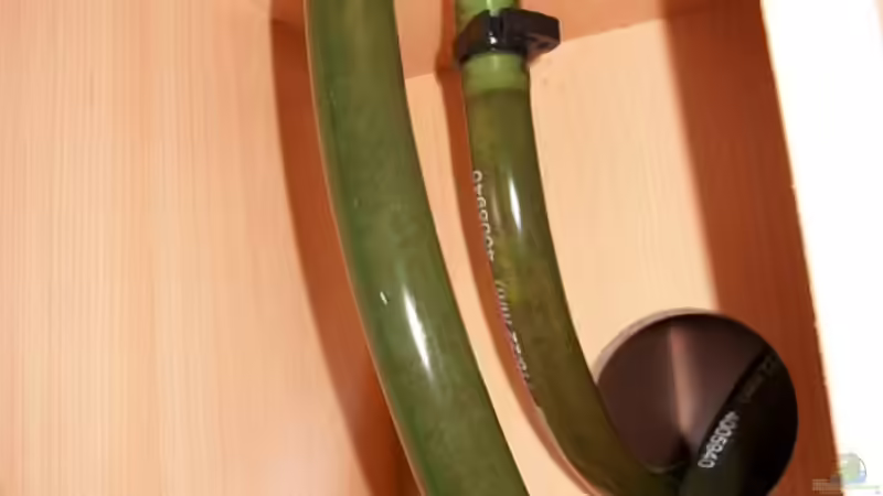 Technik im Aquarium Gauchel Becken von Christoph Lange (7)