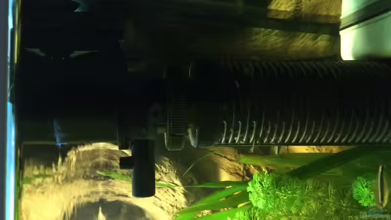 Technik im Aquarium Geophagus Proximus von Captain Gü (32)