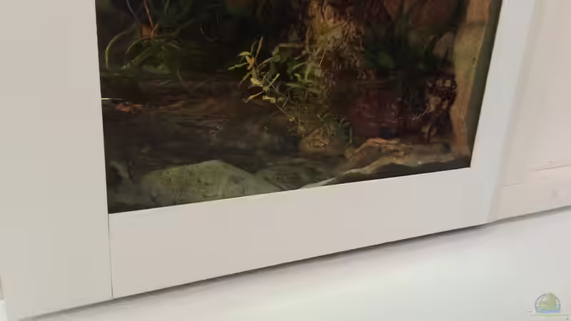 Technik im Aquarium Geophagus Proximus von Captain Gü (38)