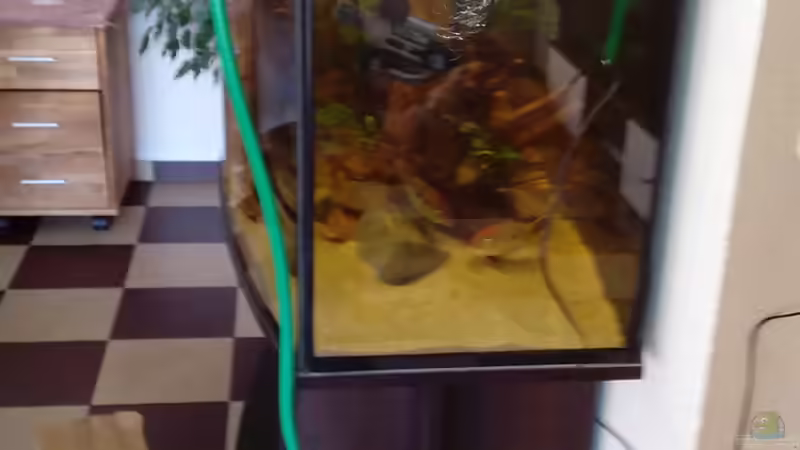 Technik im Aquarium Geo´s Revier ( Aufgelöst ) von Fichte (6)