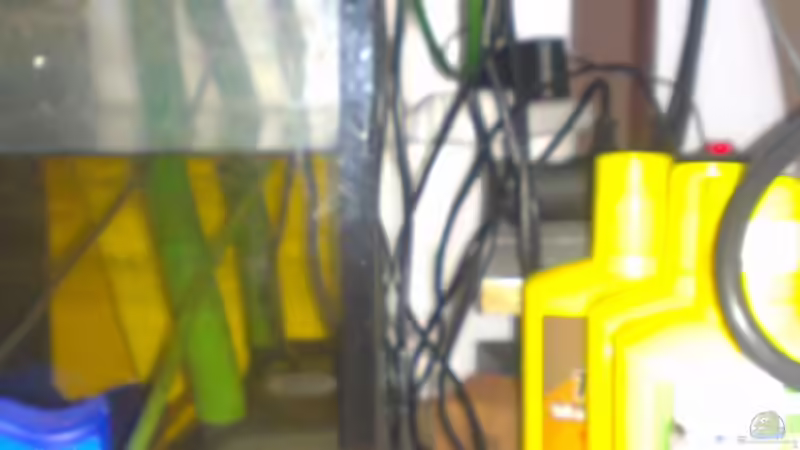 Technik im Aquarium Gesellschafftsbecken Südamerika(nur noch als Bsp.) von Biffty (65)