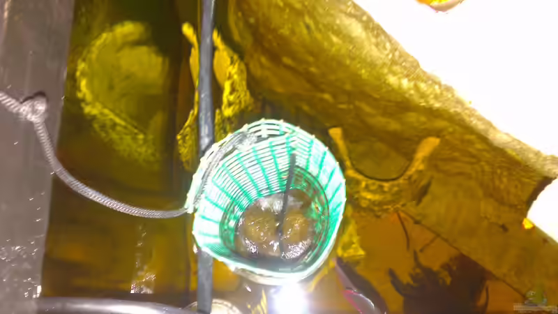 Technik im Aquarium Gesellschafftsbecken Südamerika(nur noch als Bsp.) von Biffty (66)