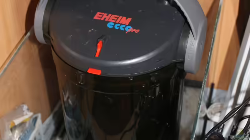 Technik im Aquarium Gesellschaft 180 von Joel-Angus (11)